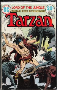 Edgar Rice Burroughs' Tarzan #226 (1973)