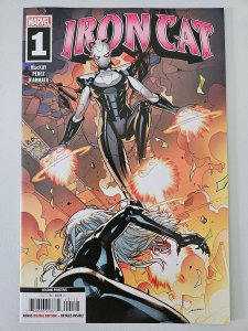 Iron Cat 1 Second Print Cover (2022)