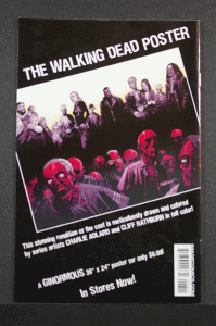 The Walking Dead #43