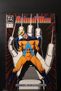 Animal Man #11 (1989)