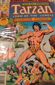 Tarzan #10 (1978) Tarzan 