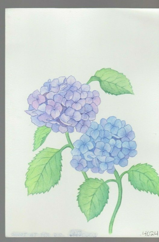 Purple & Violet Chrysanthemum 7x10 #4024 Greeting Card Original Art