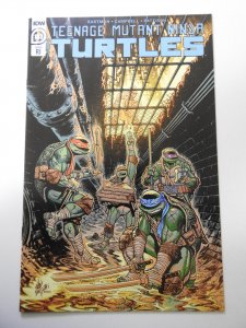 Teenage Mutant Ninja Turtles #103 RI Cover