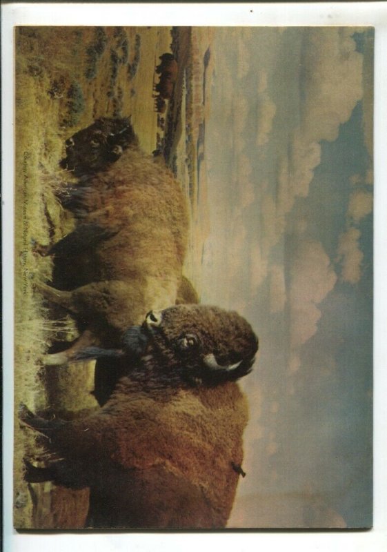 Cisco Kid #3 1951-Dell Robert Jenny art-painted cover-VG/FN