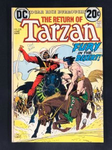 Edgar Rice Burroughs' Tarzan #220 (1973)