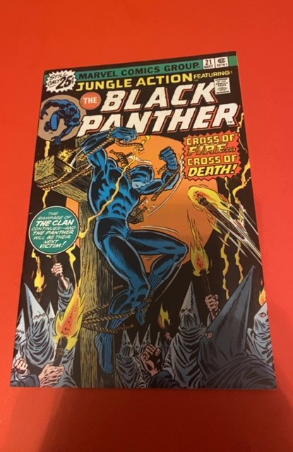 Jungle Action #21 (1976) panther vs Klux Clan cover high grade
