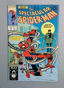 Spectacular Spider-Man #173, VF Marvel Comics, 1991 JR1