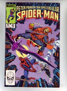 Spider-Man, Peter Parker Spectacular #85 (Dec-84) NM/NM- High-Grade Spider-Man