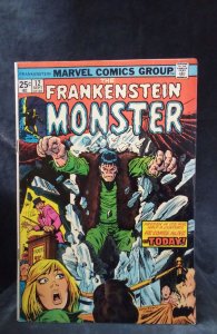 The Frankenstein Monster #12 (1974)