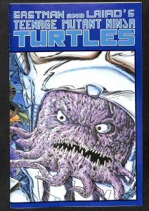 Teenage Mutant Ninja Turtles #7