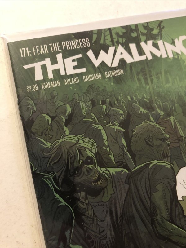 Walking Dead #171 Variant (Image 2017) 1st app Princess 