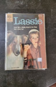Lassie #10