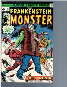 Frankenstein Monster #16 (1975)
