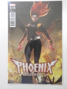Phoenix: Resurrection #5 Variant Cover Edition!