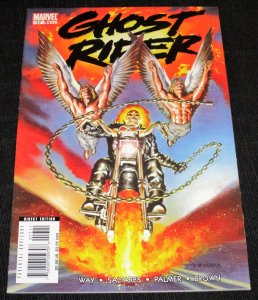 Ghost Rider #17 (2008)