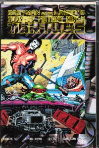 Teenage Mutant Ninja Turtles #30 (1990)