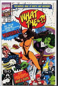 What The--?! #11 (1991) Daredevil