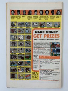 The Spectacular Spider-Man #28 (1979)