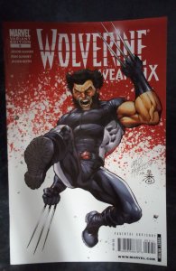 Wolverine Weapon X #5 Carlos Pacheco Cover (2009)