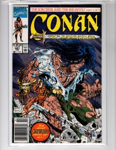 Conan the Barbarian #241 Newsstand Ed (1991) Mid-Grade - [NSC•ECA9]