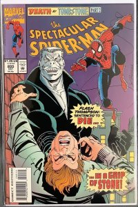 The Spectacular Spider-Man #205 (1993, Marvel) NM-