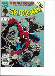 Spider-Man #29 Direct Edition (1992)