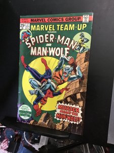 Marvel Team-Up #37 (1975) Spider-Man versus werewolf by night! VF/NM Wow!