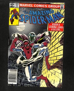 Amazing Spider-Man #231 Newsstand Variant