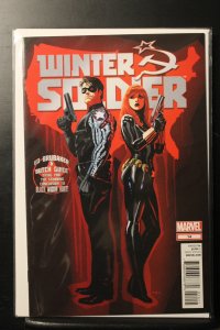 Winter Soldier #14 (2013)