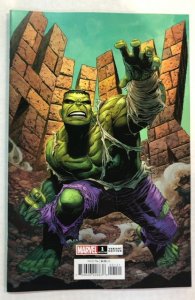 Incredible Hulk 2023 #1 Cheung Variant