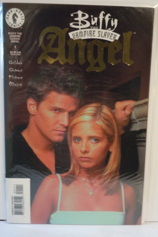 Buffy the Vampire Slayer/ Angel: Hollower #1 Variant