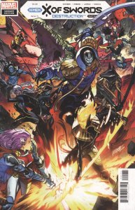 X of Swords: Destruction Connecting Cover (2021)