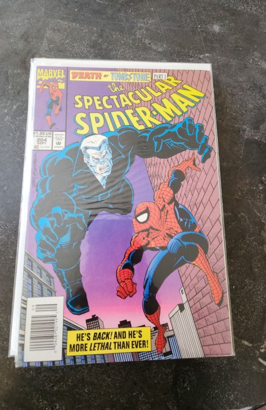 The Spectacular Spider-Man #204 (1993)