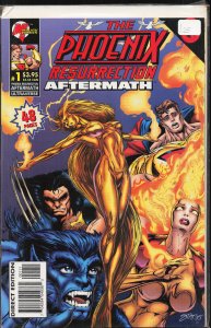 The Phoenix Resurrection: Aftermath (1996) Phoenix