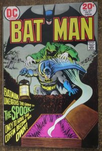 BATMAN #252 (DC,10/1973) VERY GOOD PLUS (VG+) Frank Robbins/Irv Novack 