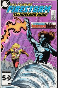 The Fury of Firestorm #43 (1986) Firestorm