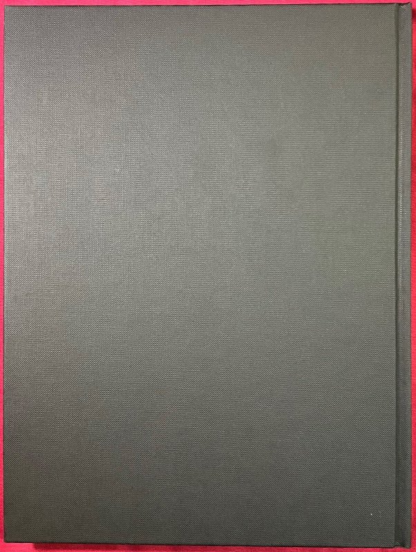 STEVE RUDE ARTIST IN MOTION - Book/ DJ/Slipcase-Fine; Comic-9.2, WP - Ltd/Signed