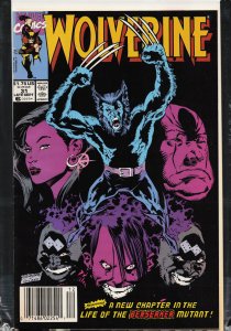 Wolverine #31 (1990) Wolverine