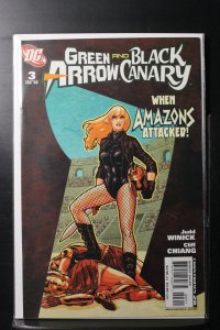 Green Arrow/Black Canary #3 (2008)