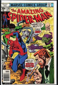 The Amazing Spider-Man #170 (1977) Spider-Man