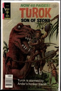 Turok, Son of Stone #115 (1978)