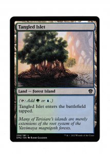 TANGLED ISLET | LAND | DOMINARIA UNITED #258/281 | MTG 2022