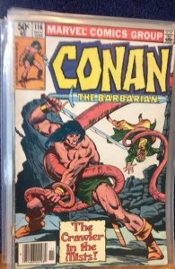 Conan the Barbarian #116 Newsstand Edition (1980)