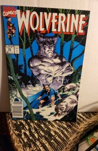 Wolverine #25 (1990)