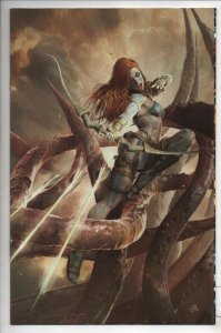 RED SONJA #18 J, NM, She-Devil, Barends Variant, more RS in store 2023 2025