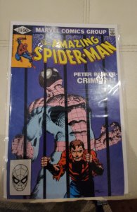 The Amazing Spider-Man #219 (1981)