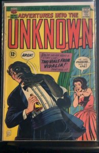 Adventures into the Unknown #169 (1966)