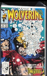 Wolverine #19 (1989) Wolverine