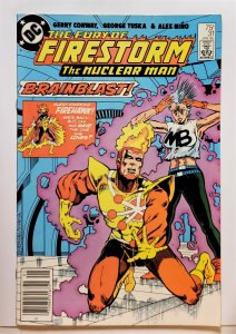 The Fury of Firestorm #31 (Jan 1985, DC) VF