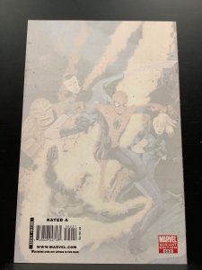 The Amazing Spiderman #590 Variant (2009)